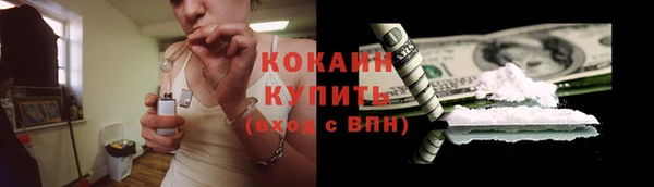 прущие крисы Карпинск